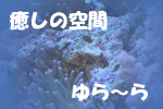 海水魚・珊瑚専門店「ゆらーら」